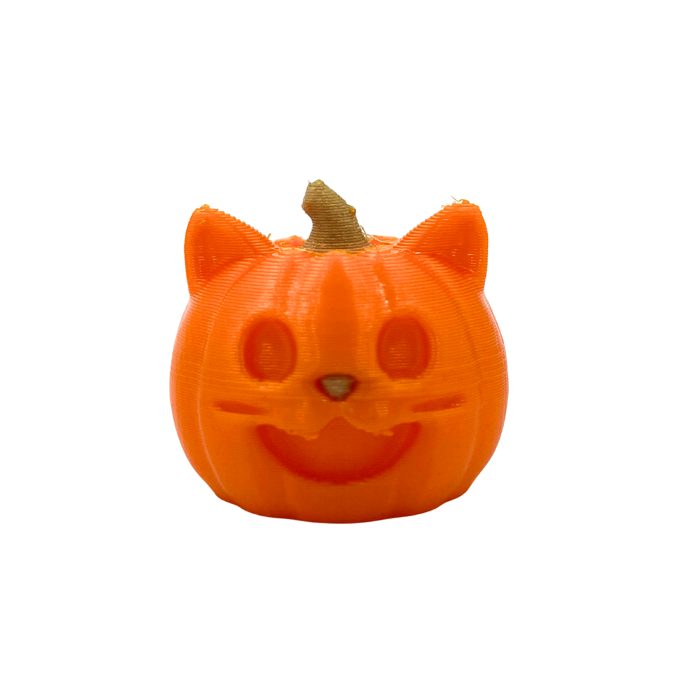 Holding Pumpkin Cats - Mandala Cases