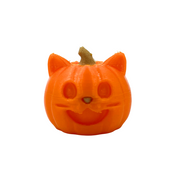 Holding Pumpkin Cats - Mandala Cases