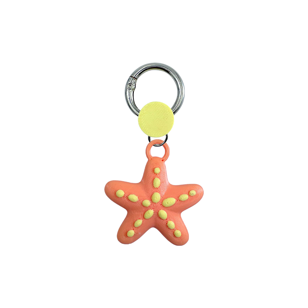 Holding Charm Estrella de mar