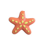 Estrella funky charm