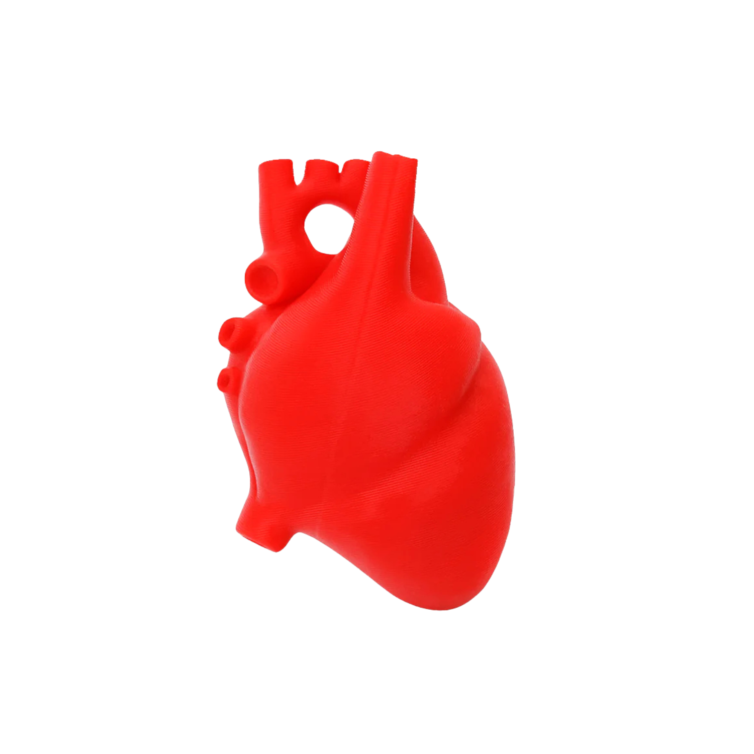 Corazon Anatomico funky charm