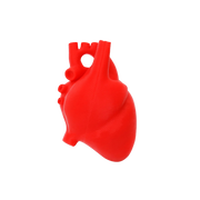 Corazon Anatomico funky charm