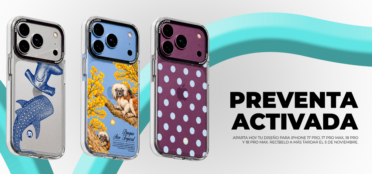 Mandala Cases 