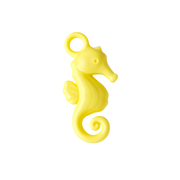 Holding Seahorse
