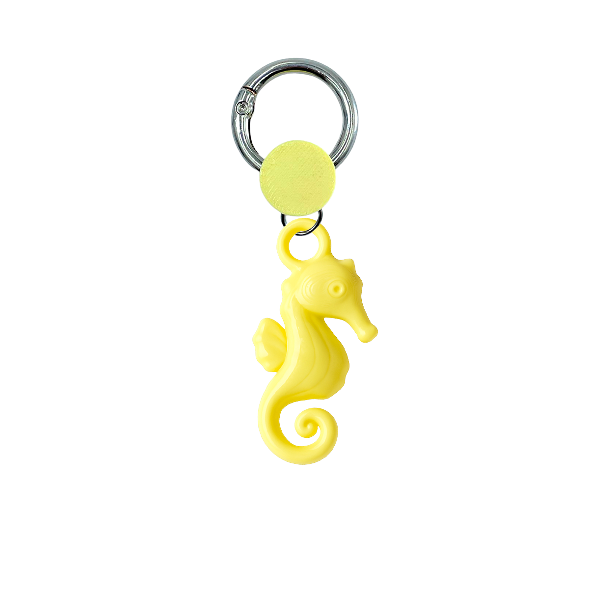 Holding Seahorse